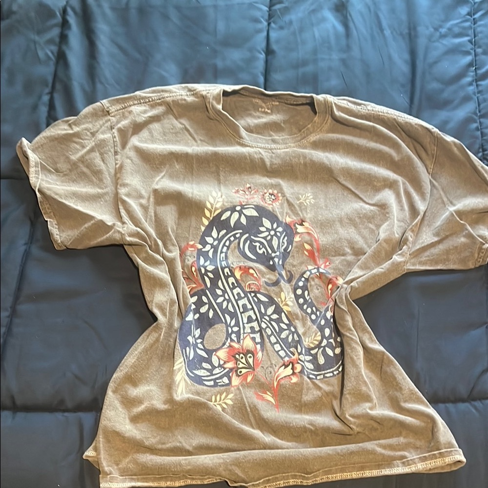 Gray Graphic T-Shirt with Snake Design